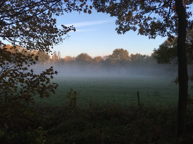 Ochtendmist bij de wijk