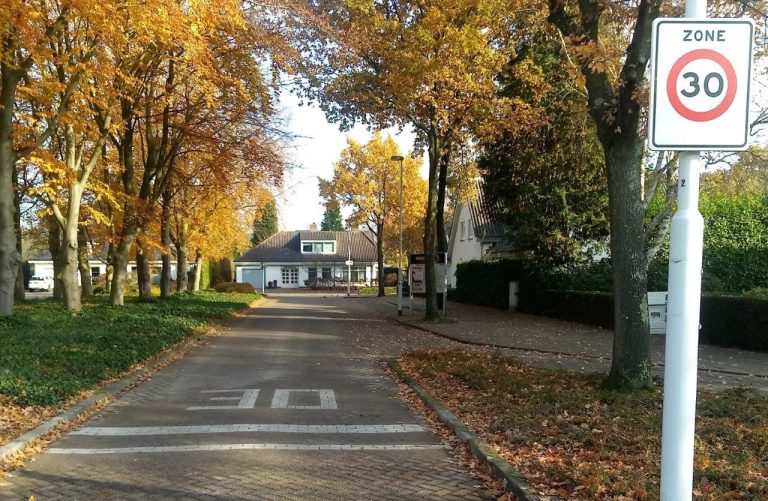 Herfst in de laan