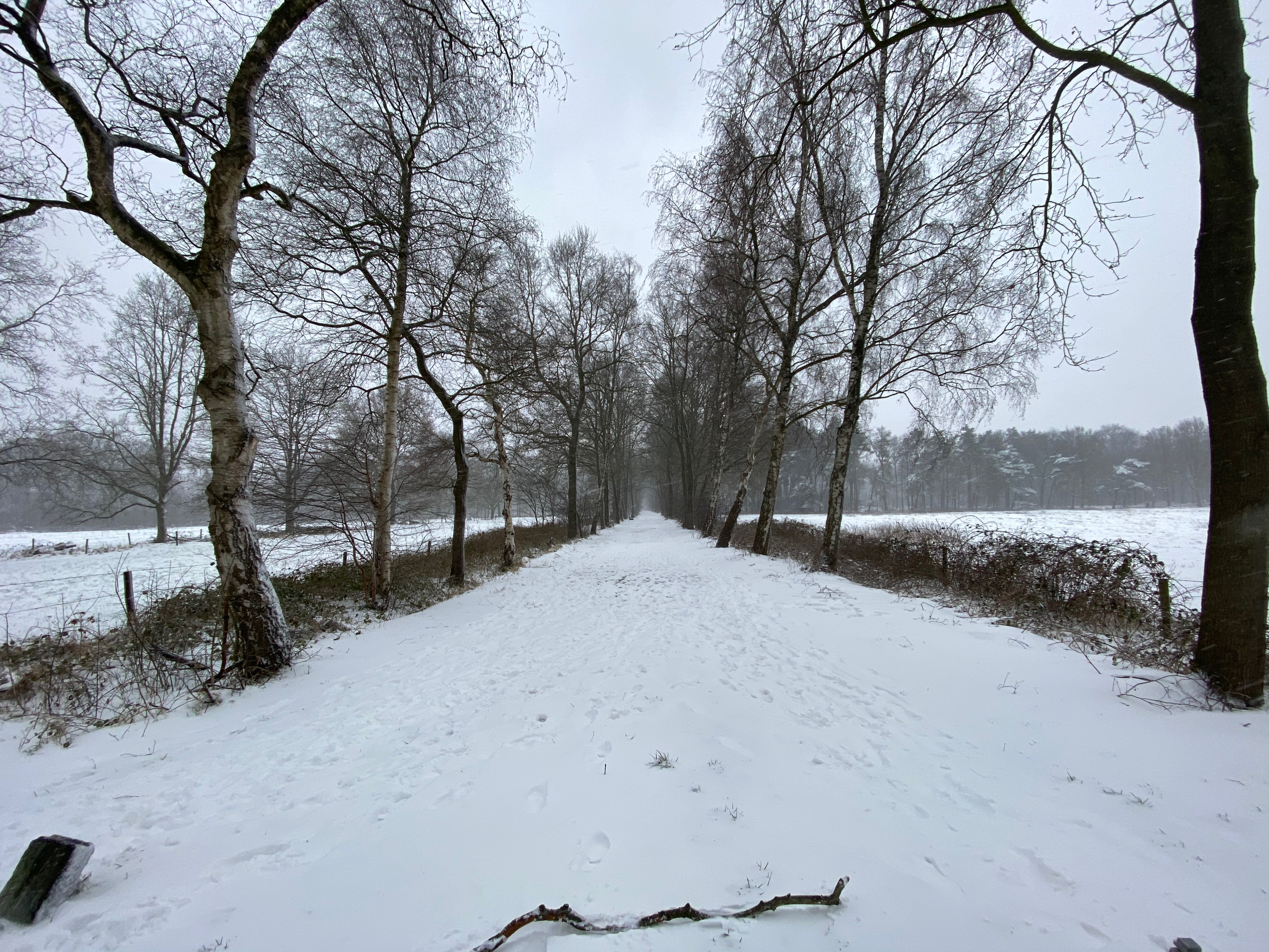 Winter om de hoek